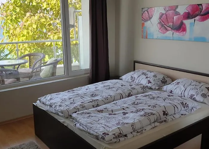 Alex S Nadhernym Panoramatickym Vyhledem Na