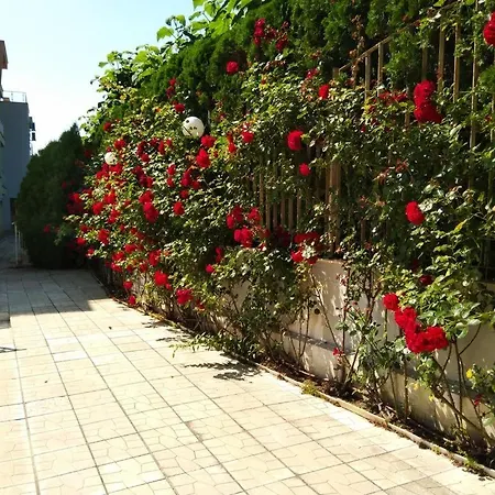 Apartment Alex S Nadhernym Panoramatickym Vyhledem Na Sveti Vlas